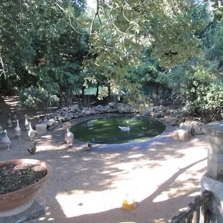 Hébergement de vacances Parco Delle Streghe Scarlino